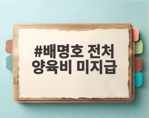 배명호 전처 양육비 미지급
