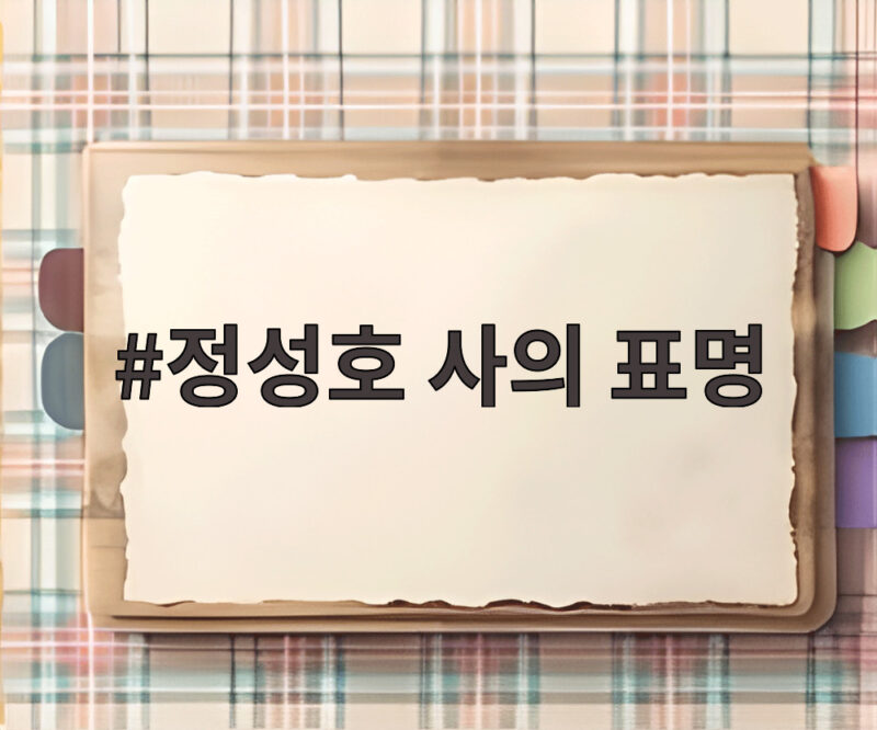 정성호 사의 표명