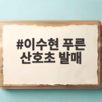 이수현 푸른 산호초 발매와 신시아의 청춘 뮤직비디오 공개 이수현 푸른 산호초 발매