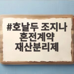 호날두 조지나 혼전계약 재산분리제