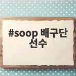 soop 배구단 선수