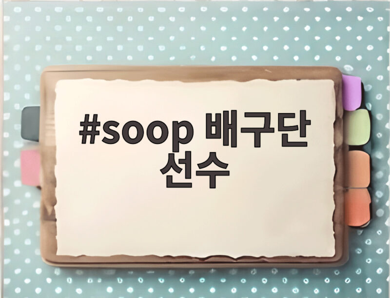 soop 배구단 선수