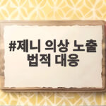 제니 의상 노출 법적 대응