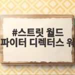 스트릿 월드 파이터 디렉터스 워