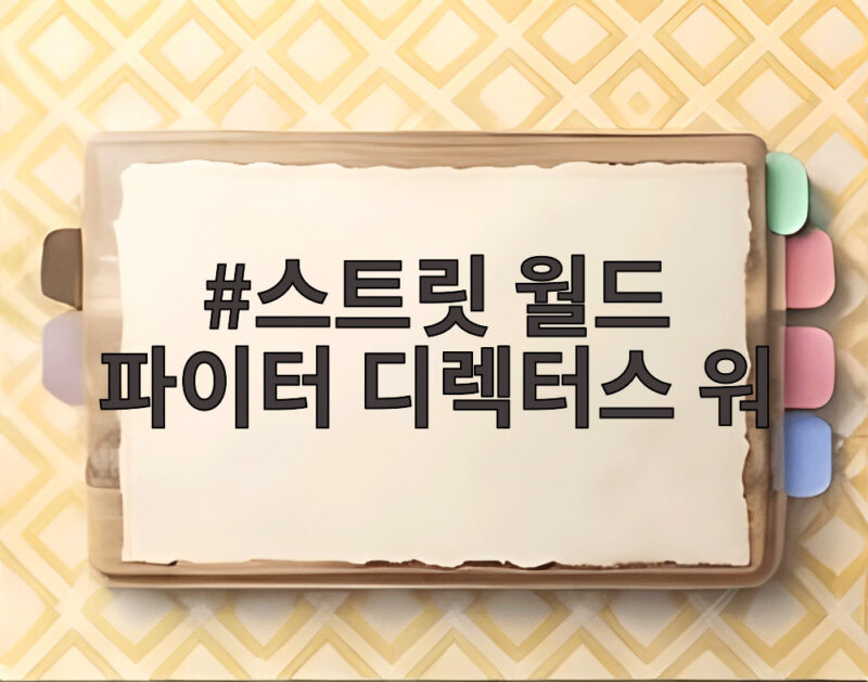 스트릿 월드 파이터 디렉터스 워