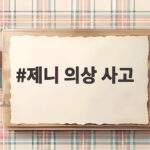 제니 의상 사고