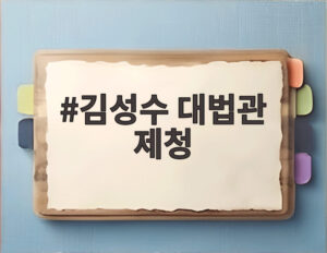 김성수 대법관 제청