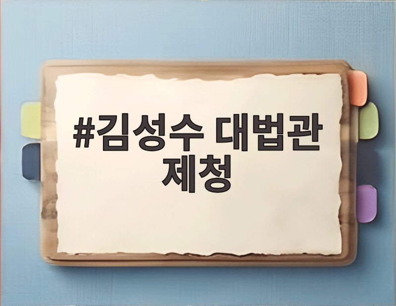 김성수 대법관 제청