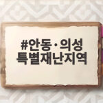 안동 의성 특별재난지역 선포 지원 안동·의성 특별재난지역