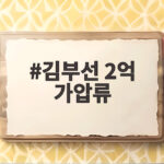 김부선 2억 가압류 소송 속 대여금과 지원금을 가르는 기준은 김부선 2억 가압류