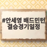 안세영 배드민턴 결승경기일정 2026 세계선수권에서 우승 도전 안세영 배드민턴 결승경기일정