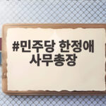 민주당 한정애 사무총장