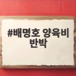 배명호 양육비 반박, 전처의 미지급 주장에 법적 대응 예고 배명호 양육비 반박