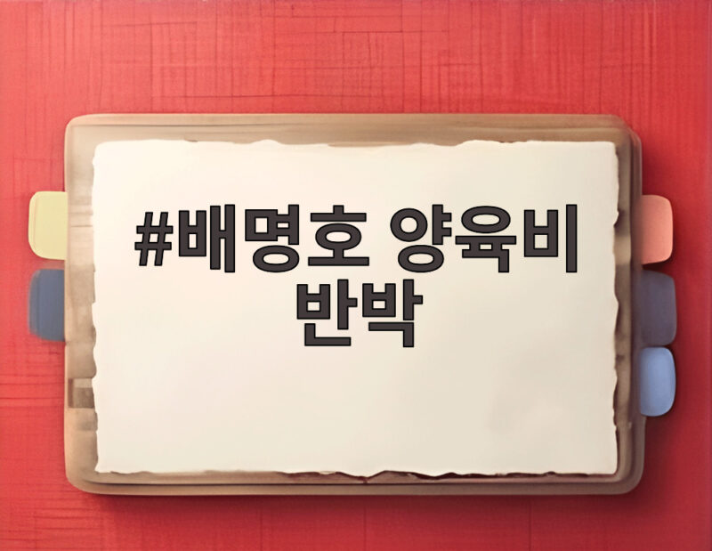 배명호 양육비 반박, 전처의 미지급 주장에 법적 대응 예고 1 배명호 양육비 반박