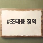 조태용 징역 2년 6개월 2심에서 1년 더 무거워진 이유 조태용 징역