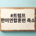 트럼프 한미연합훈련 축소 지시가 남긴 안보 위기와 우리의 선택 트럼프 한미연합훈련 축소