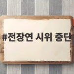 전장연 시위 중단 매일 이어지던 출근길 지하철 시위 왜 멈췄나 전장연 시위 중단