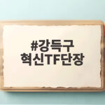 강득구 혁신TF단장