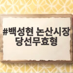 백성현 논산시장 당선무효형, 기부행위 인정된 이유는 백성현 논산시장 당선무효형