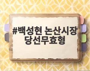 백성현 논산시장 당선무효형