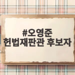 오영준 헌법재판관 후보자 재판소원법 논란은 과연 사실일까 오영준 헌법재판관 후보자