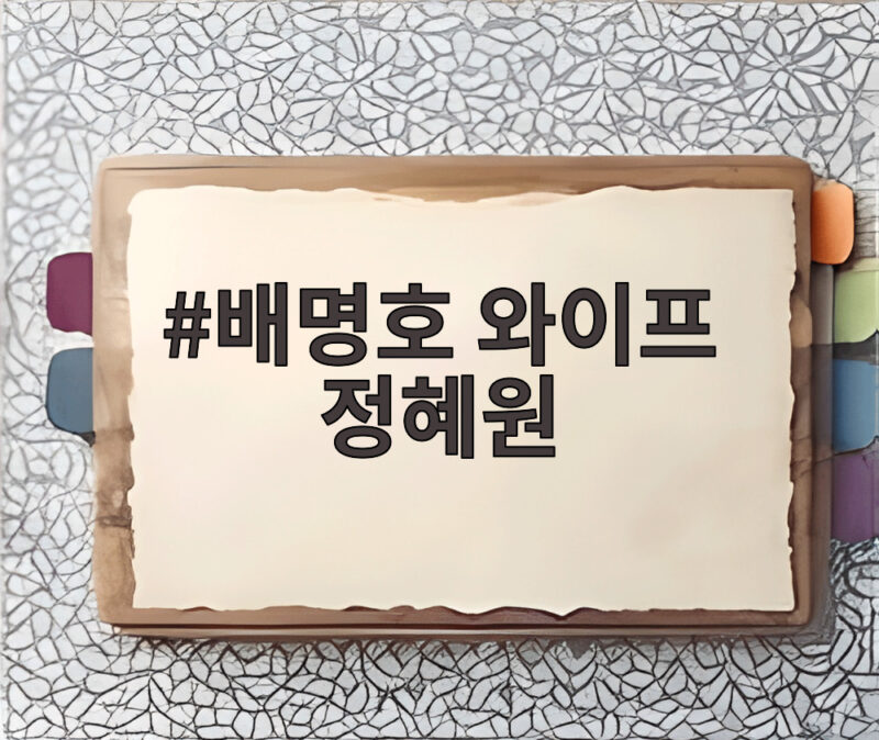 배명호 와이프 정혜원 폭로 양육비 미지급 논란 총정리 1 배명호 와이프 정혜원