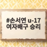 손서연 u-17 여자배구 승리