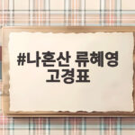 나혼산 류혜영 고경표 16년 찐친 남산 데이트 나혼산 류혜영 고경표