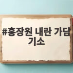 홍장원 내란 가담 기소, 내부고발자에서 피고인 신분으로 뒤집힌 사건 홍장원 내란 가담 기소