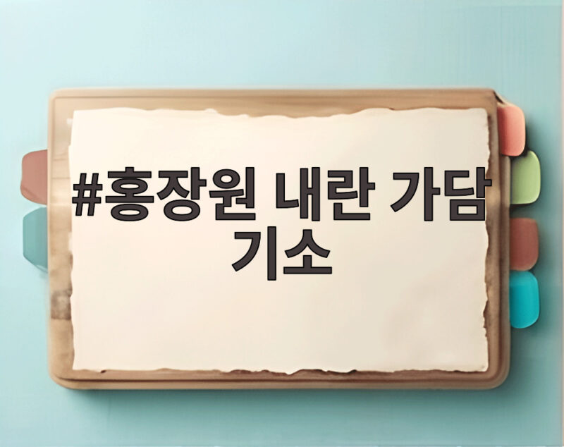 홍장원 내란 가담 기소