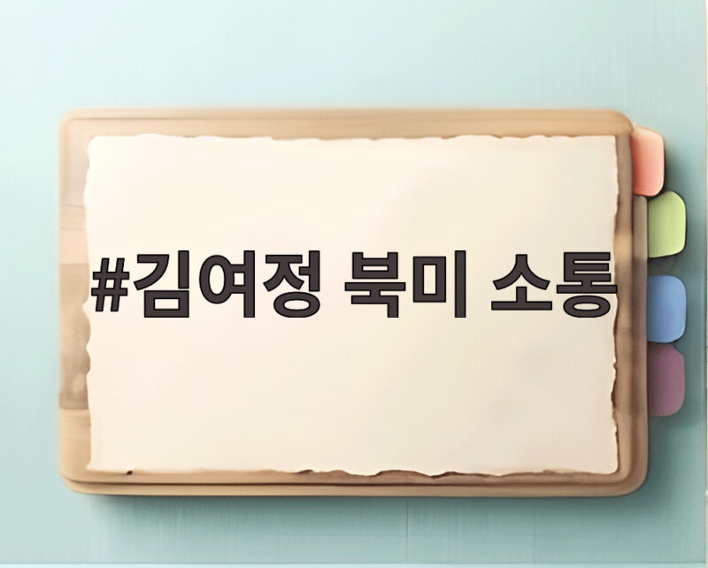 김여정 북미 소통