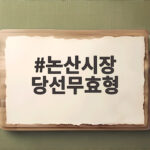 논산시장 당선무효형