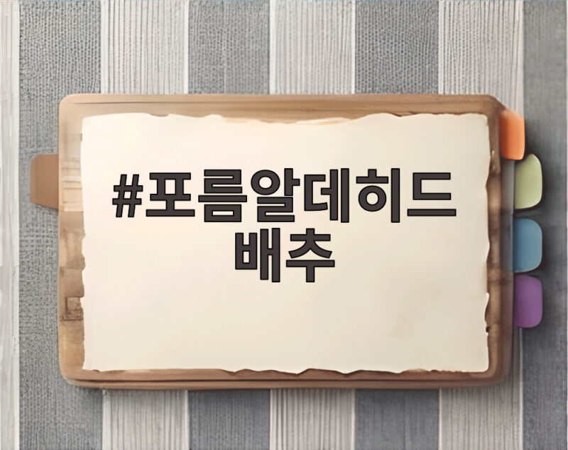 포름알데히드 배추 논란 중국산 수입 안전성 검사 강화 확인 1 포름알데히드 배추