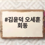 김윤덕 오세훈 회동