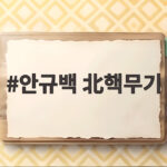 안규백 北핵무기 80~120개 추정 트럼프 57개 발언과의 차이는 안규백 北핵무기