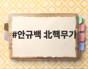 안규백 北핵무기