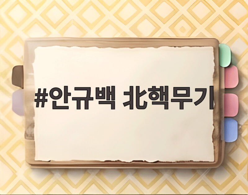 안규백 北핵무기