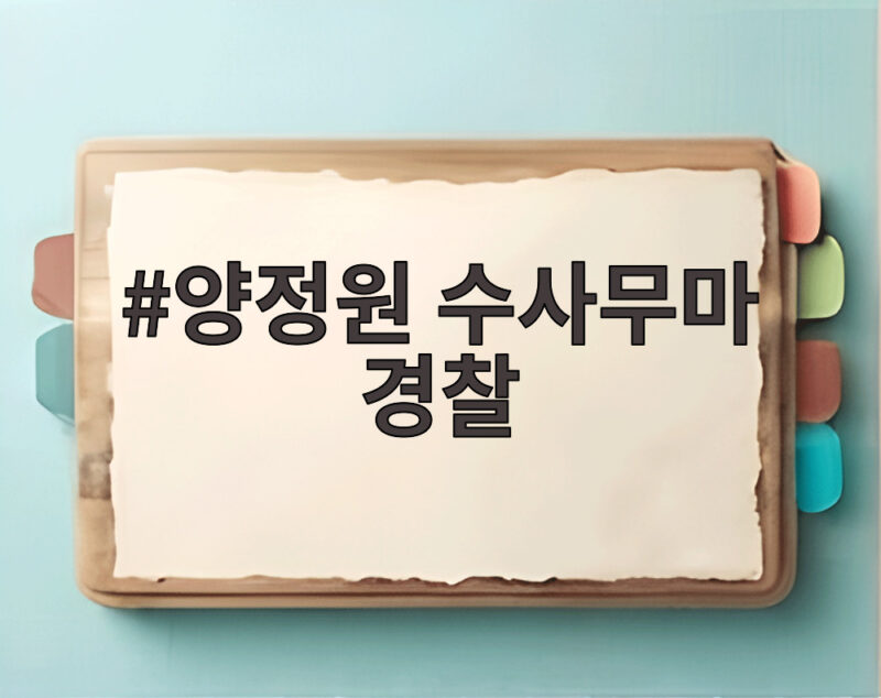 양정원 수사무마 경찰 구속기소, 그가 저지른 또 다른 범행은 1 양정원 수사무마 경찰