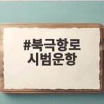 북극항로 시범운항 부산에서 출항하며 새로운 물류 시대를 열다 북극항로 시범운항