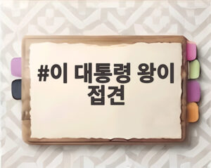 이 대통령 왕이 접견