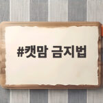 캣맘 금지법 논란, 과학적 근거는? 찬반 청원과 생태계 영향 알아보기 캣맘 금지법