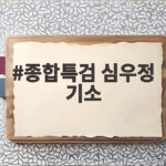 종합특검 심우정 기소, 검찰총장의 비상계엄 관여 의혹 종합특검 심우정 기소