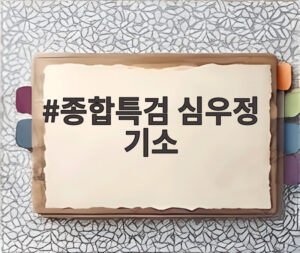 종합특검 심우정 기소