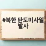 북한 탄도미사일 발사, UFS 연습 축소에도 강행한 이유는 북한 탄도미사일 발사