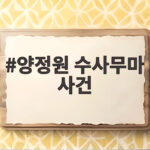 양정원 수사무마 사건