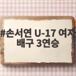 손서연 U-17 여자 배구 3연승