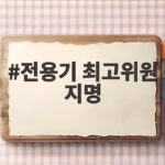 전용기 최고위원 지명 발표로 당 지도부 출범일 파열음 전용기 최고위원 지명