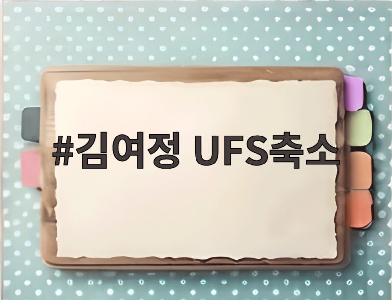 김여정 UFS축소 조롱에 담긴 한미동맹의 숨은 진실 1 김여정 UFS축소