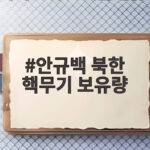 안규백 북한 핵무기 보유량