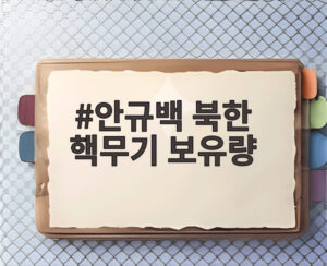 안규백 북한 핵무기 보유량